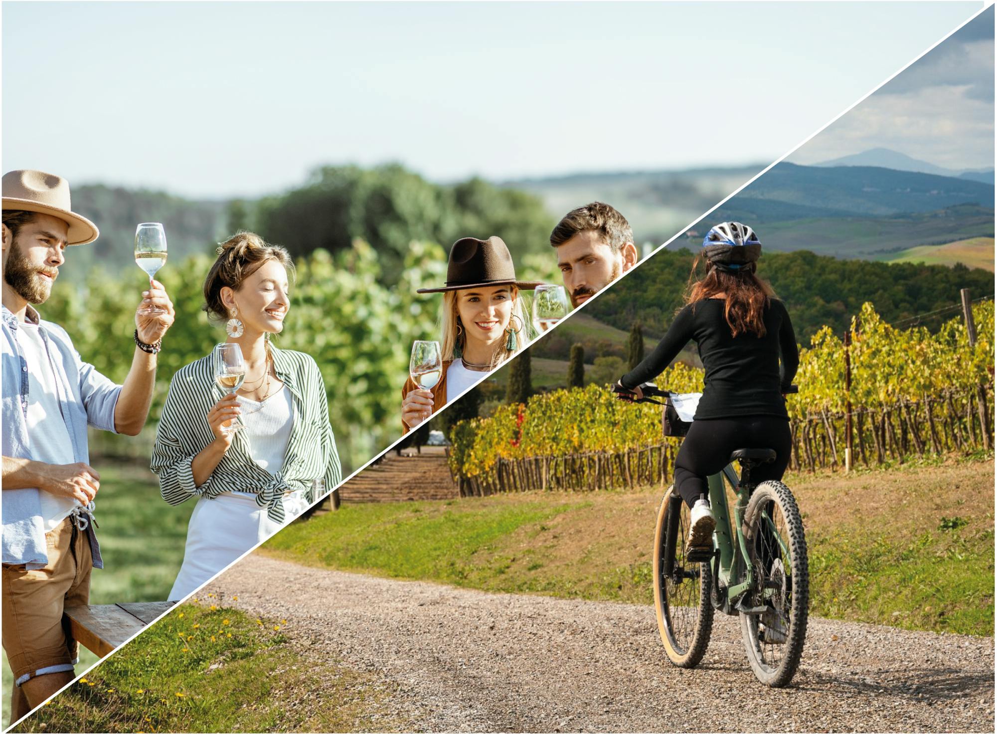 Descubriendo el Chianti e-bike tour y degustación de vinos.