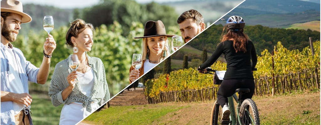 Descobrindo Chianti e-bike tour e degustação de vinhos
