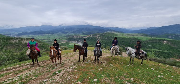 Horse riding experience at Vjosa National Park from Permet