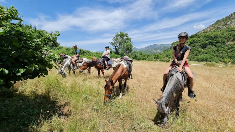 Horse riding experience at Vjosa National Park from Permet