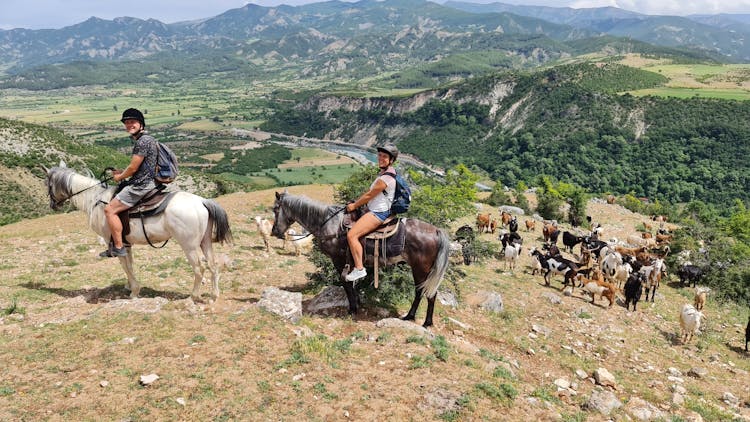 Horse riding experience at Vjosa National Park from Permet