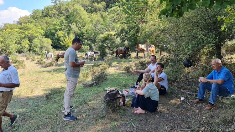 Horse riding experience at Vjosa National Park from Permet