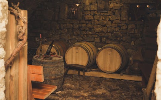 Tour privado de vino y gastronomía de Virpazar y Rijeka Crnojevića