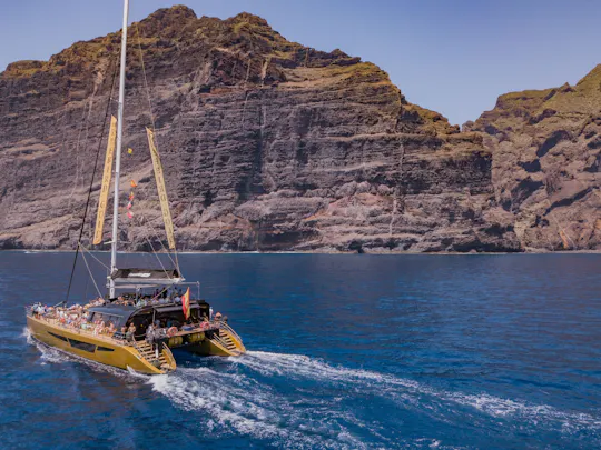 Freebird Catamaran Walvissen & Dolfijnen Catamaran Cruise naar Masca