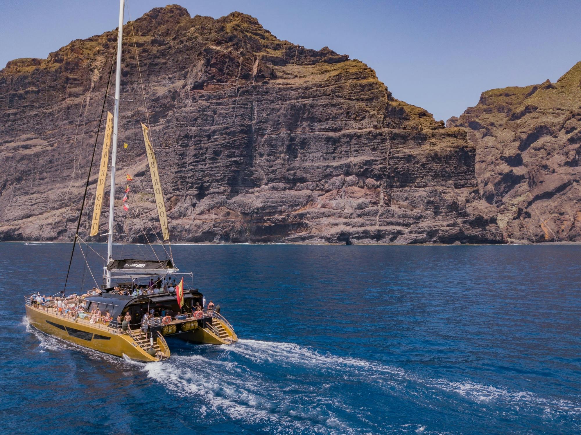 Croisière sur le catamaran Freebird à la recherche des baleines et dauphins de Masca