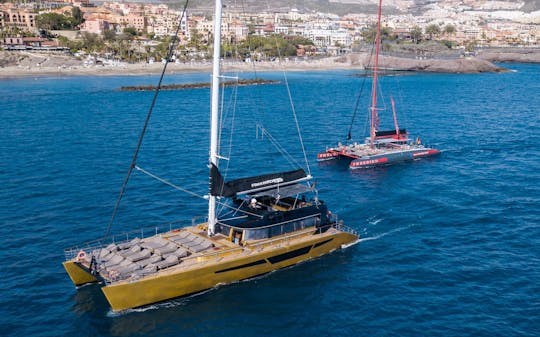 Excursion d'observation des baleines et des dauphins avec le catamaran Freebird