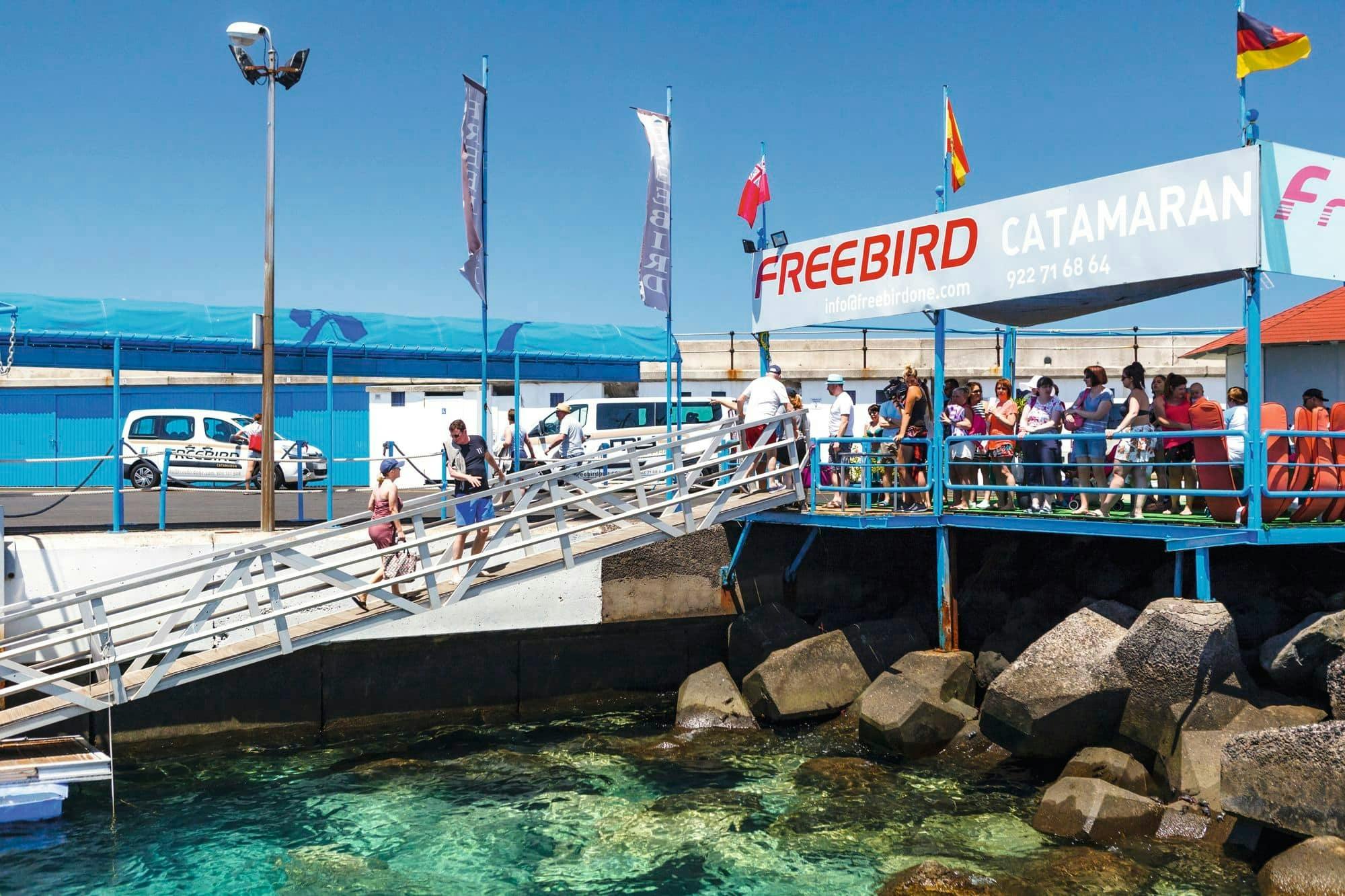 Freebird Catamaran Whale & Dolphin Cruise to Masca