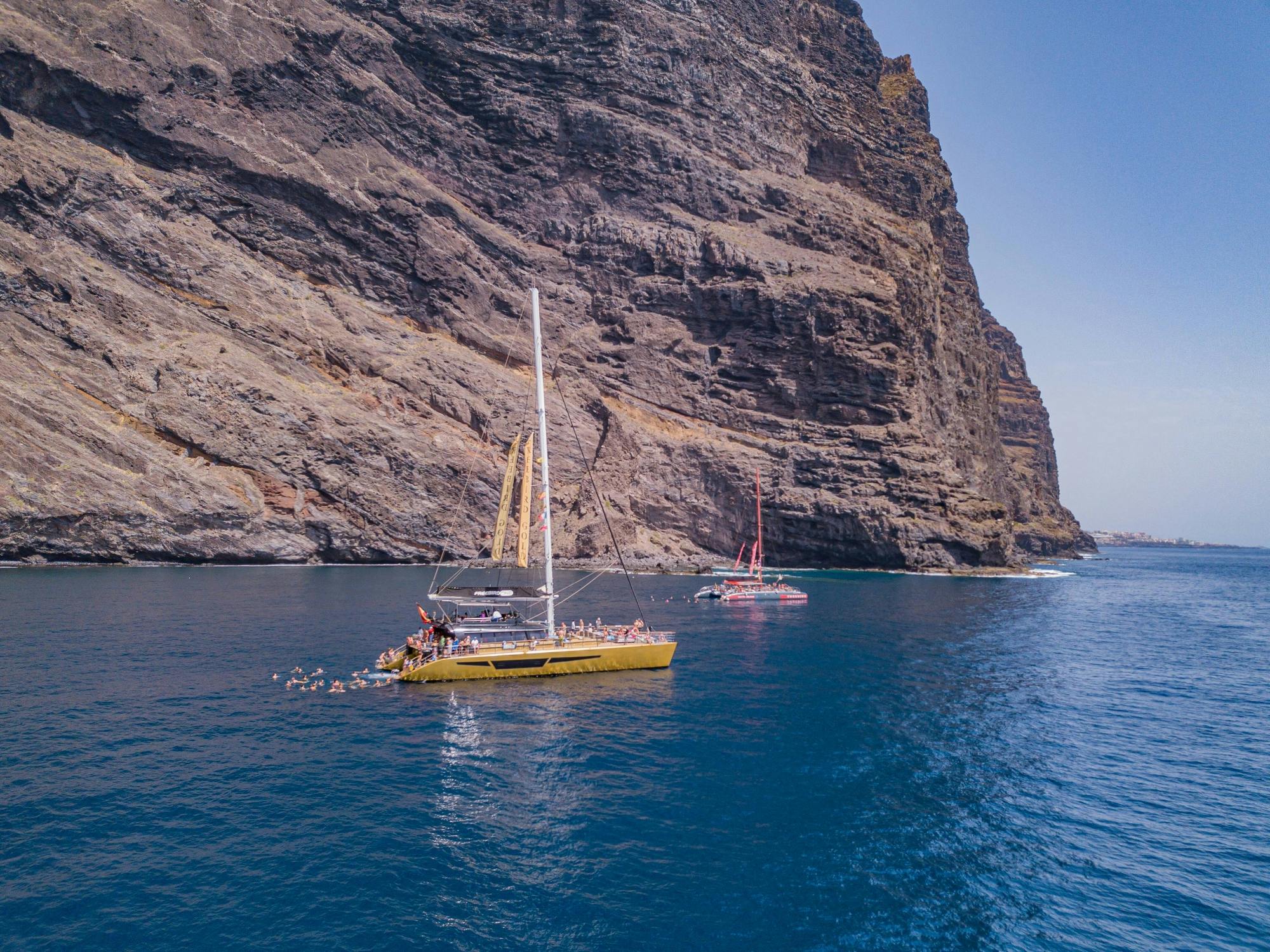 Croisière exclusive en catamaran Freebird avec baleines et dauphins vers Masca