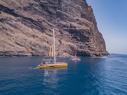 Exclusieve Freebird catamaran walvis- en dolfijnsafari naar Masca