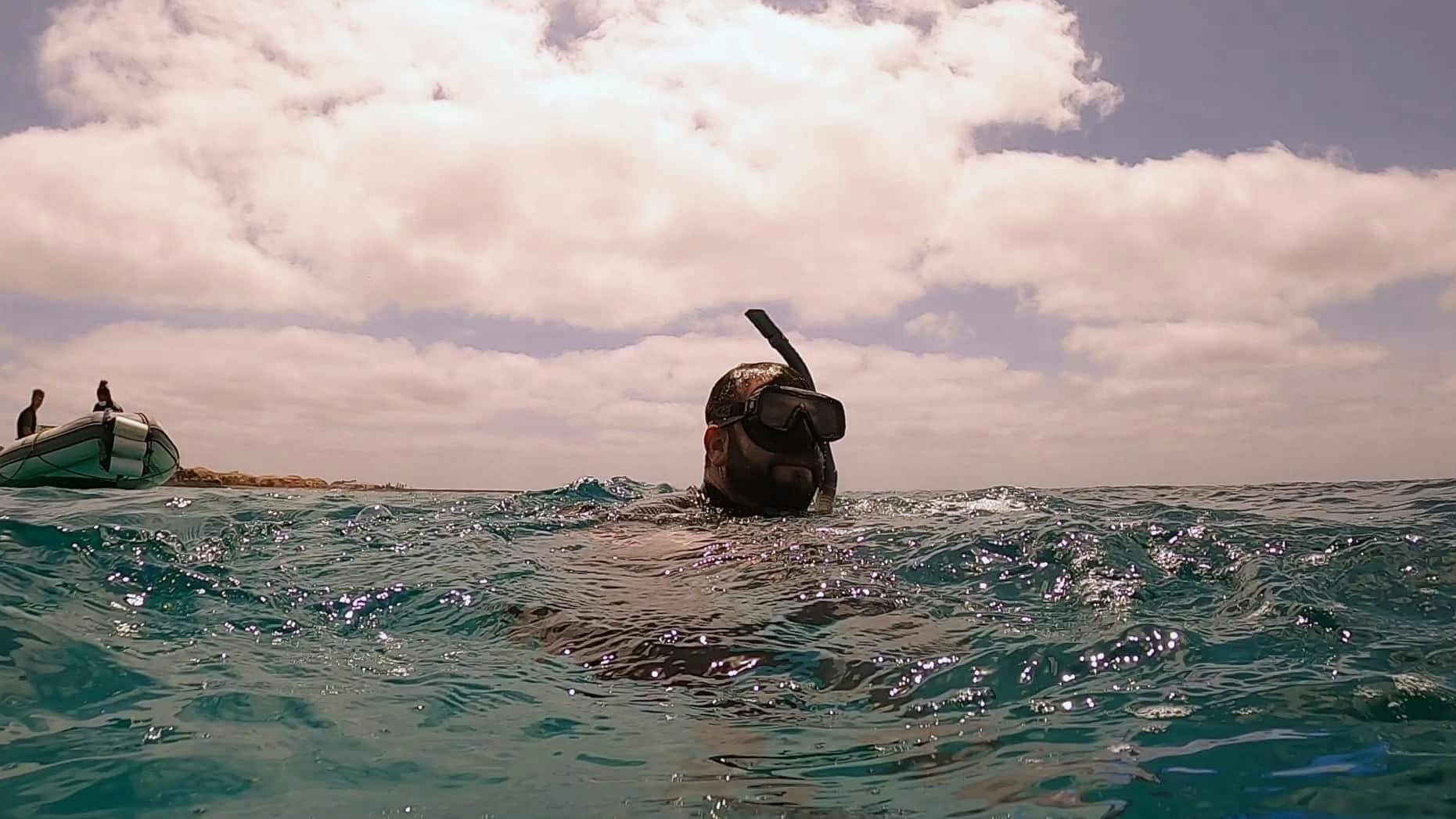 Passeio de mergulho com snorkel em Cabo Verde saindo de Sal