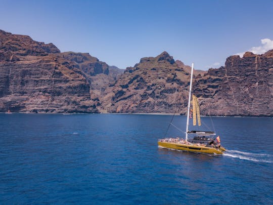 Billet de croisière sur le catamaran Freebird vers les baleines et les dauphins de Masca