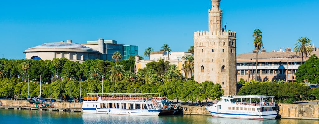Private boat tour on the Guadalquivir up to 11 people