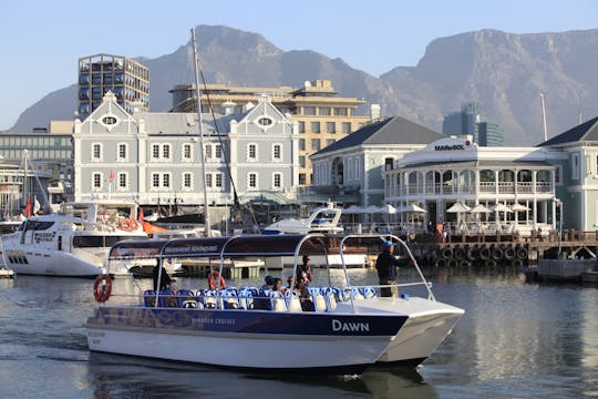 Passeio de barco de 30 minutos pelo porto da Cidade do Cabo