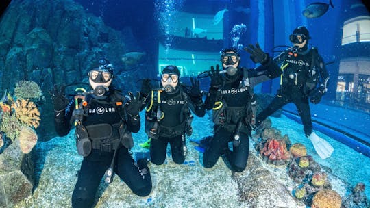 L'ultima esperienza dell'acquario di Dubai e dello zoo sottomarino