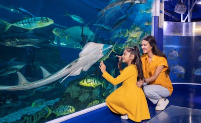Expérience d’exploration de l’aquarium et du zoo sous-marin de Dubaï