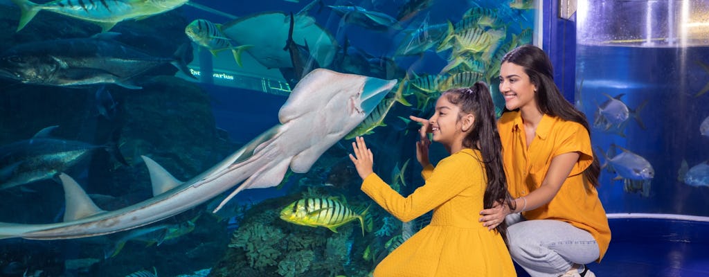 Expérience d'exploration de l'aquarium et du zoo sous-marin de Dubaï