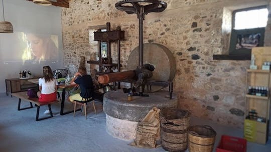 Androusa castle and olive oil mill guided tour