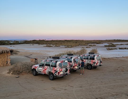 Half-day Nabq National Park safari with lunch in a bedouin tent