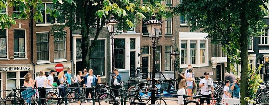 Première connaissance de la visite guidée à pied d'Amsterdam