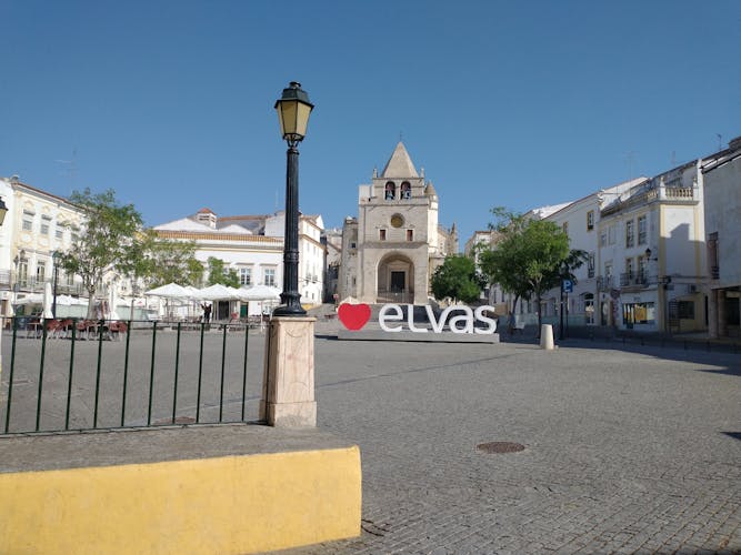 Elvas private guided tour with plums tasting
