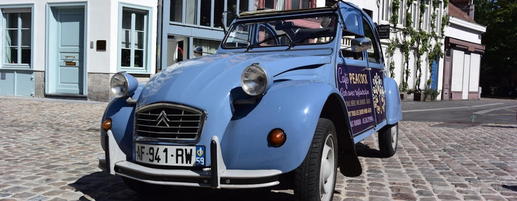 1-hour private tour in Lille by Citroën 2CV