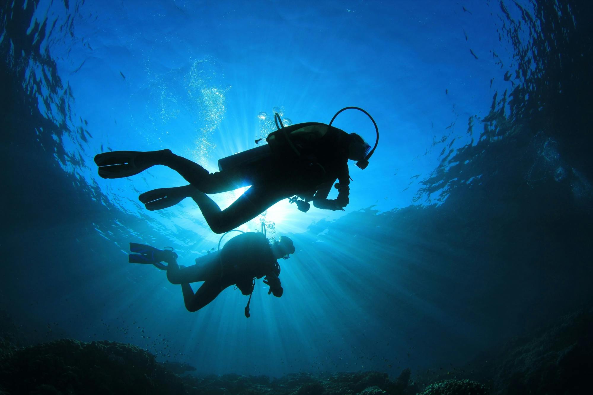 Expériences de plongée sous-marine à la Riviera Maya