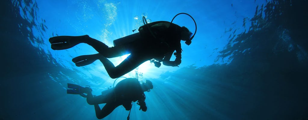 Expériences de plongée sous-marine à la Riviera Maya