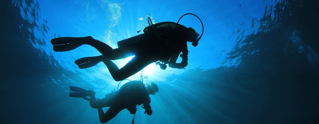 Experiencias de Buceo en la Riviera Maya
