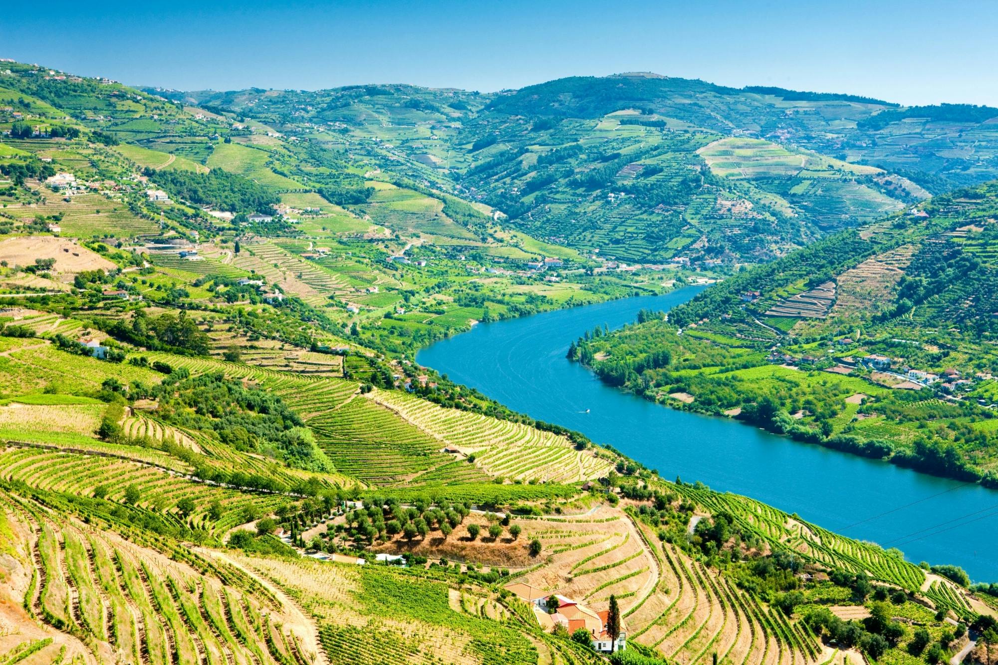 Visita guiada al valle del Duero con cata de vinos, almuerzo y crucero por el río desde Oporto