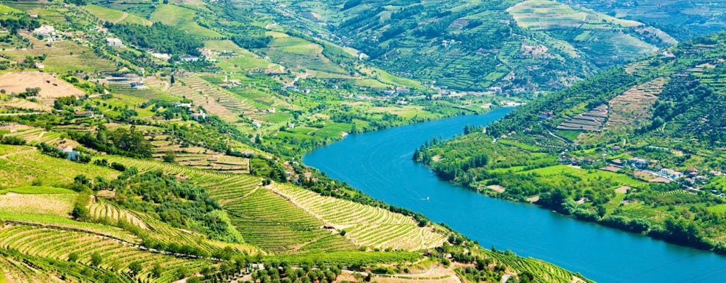 Visite guidée de la vallée du Douro avec dégustation de vins, déjeuner et croisière fluviale au départ de Porto