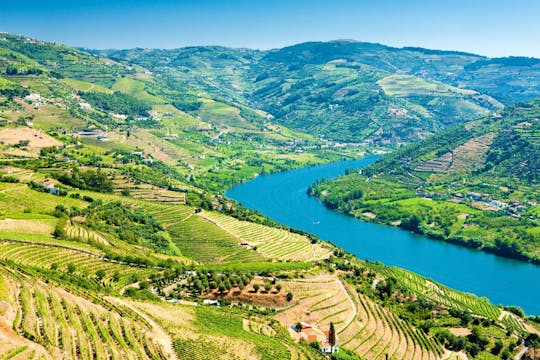 Visite guidée de la vallée du Douro avec dégustation de vins, déjeuner et croisière fluviale au départ de Porto