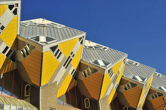 Rotterdam private travel to the future walking tour