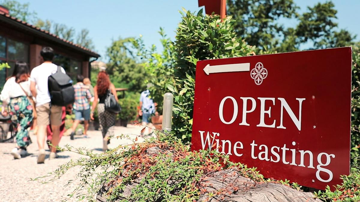 Tour mattutino nel Chianti con degustazioni di vini e cibo tipico