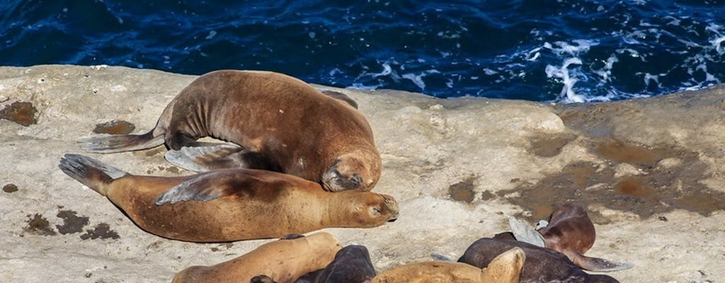 Tour of Peninsula Valdes and sea lions reserve from Puerto Madryn
