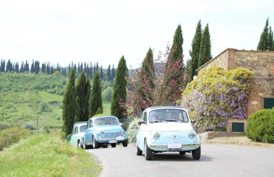 500 vintage tour in the Chianti area from Siena