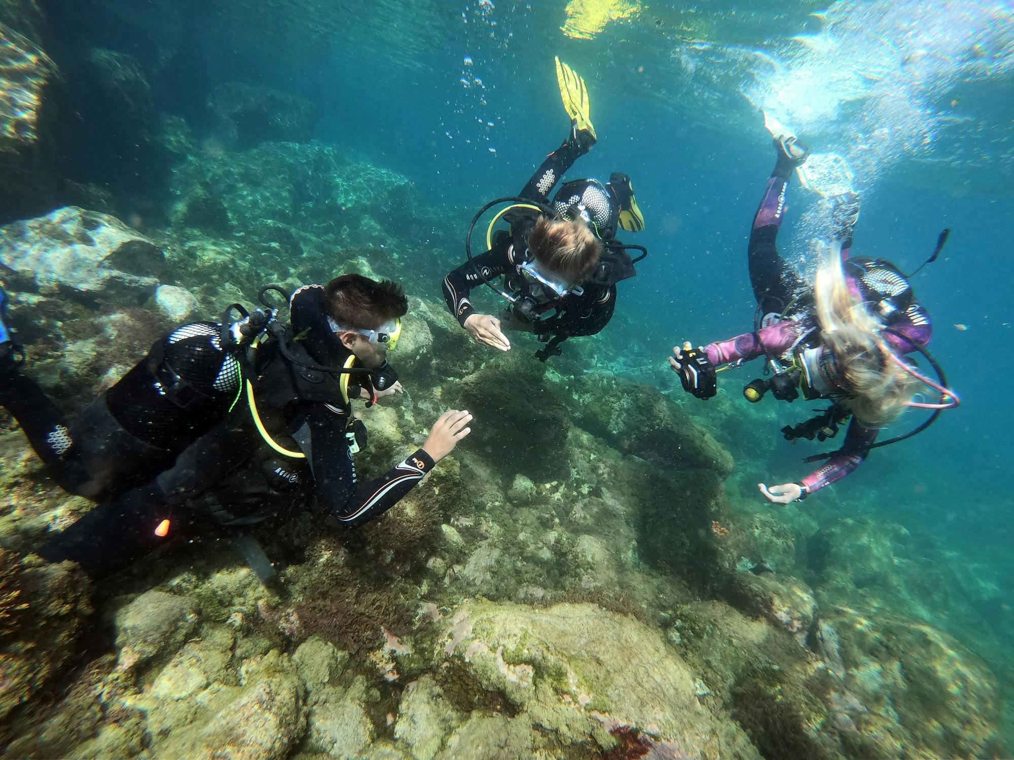 Curso de buceo Zeus Gran Canaria o Open Water Diving