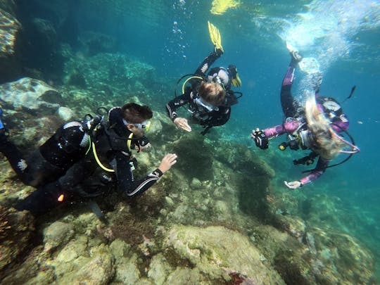 Curso de buceo Zeus Gran Canaria o Open Water Diving