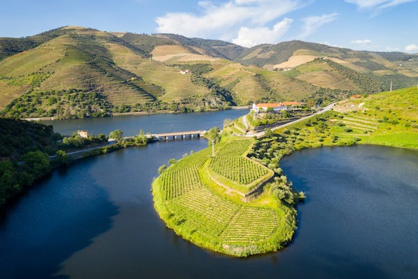 Privétour naar de Douro-vallei vanuit Porto