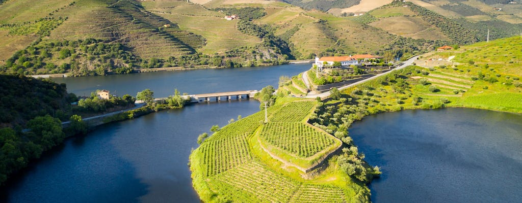 Tour privado ao Vale do Douro saindo do Porto