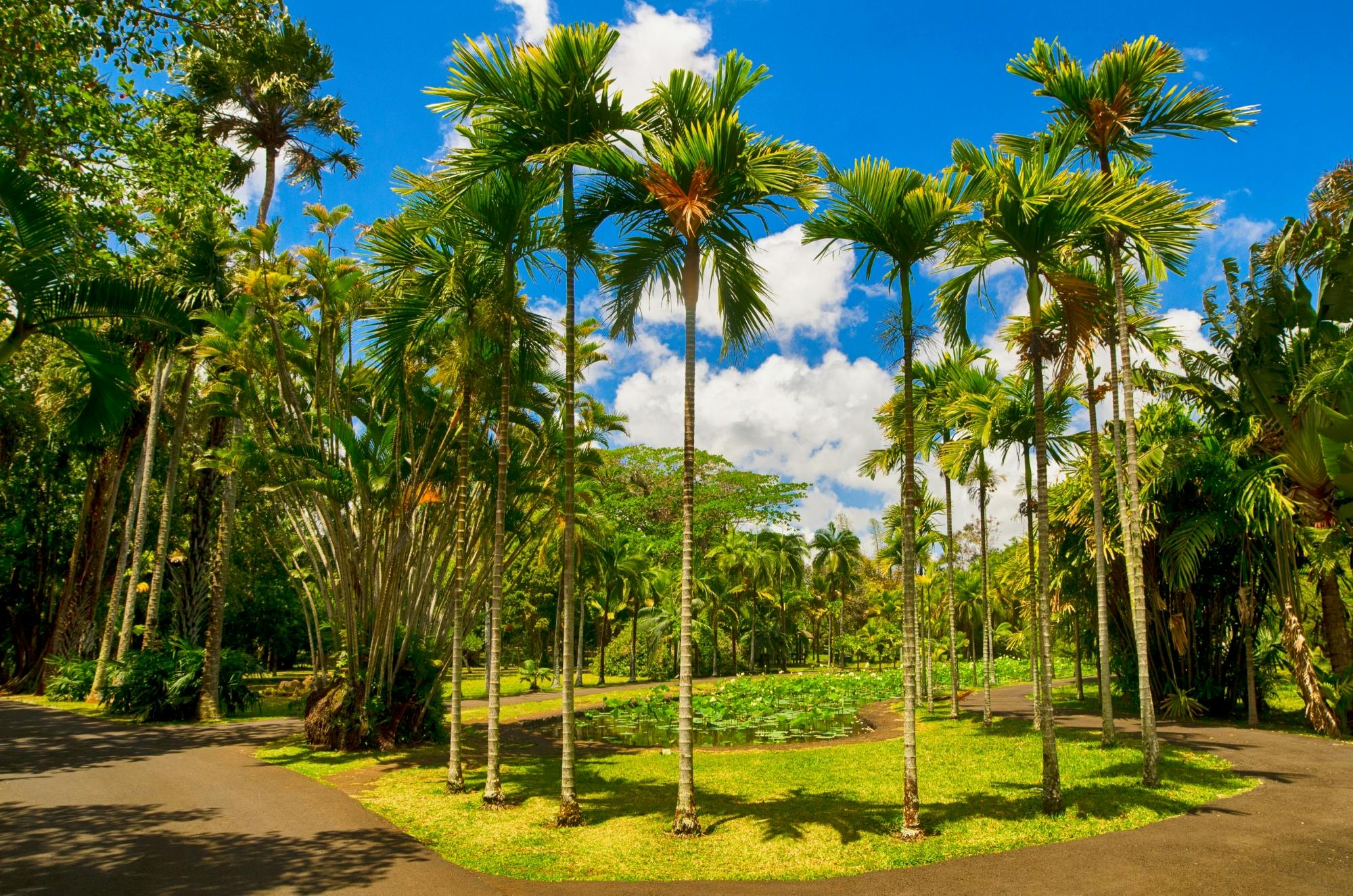 Mauritius e-biking tour in Pamplemousses