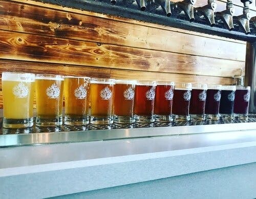 Wrigleyville neighborhood brewery tour in Chicago