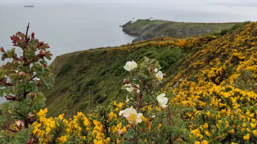 fareharbor-mybikeorhike|346600-682753