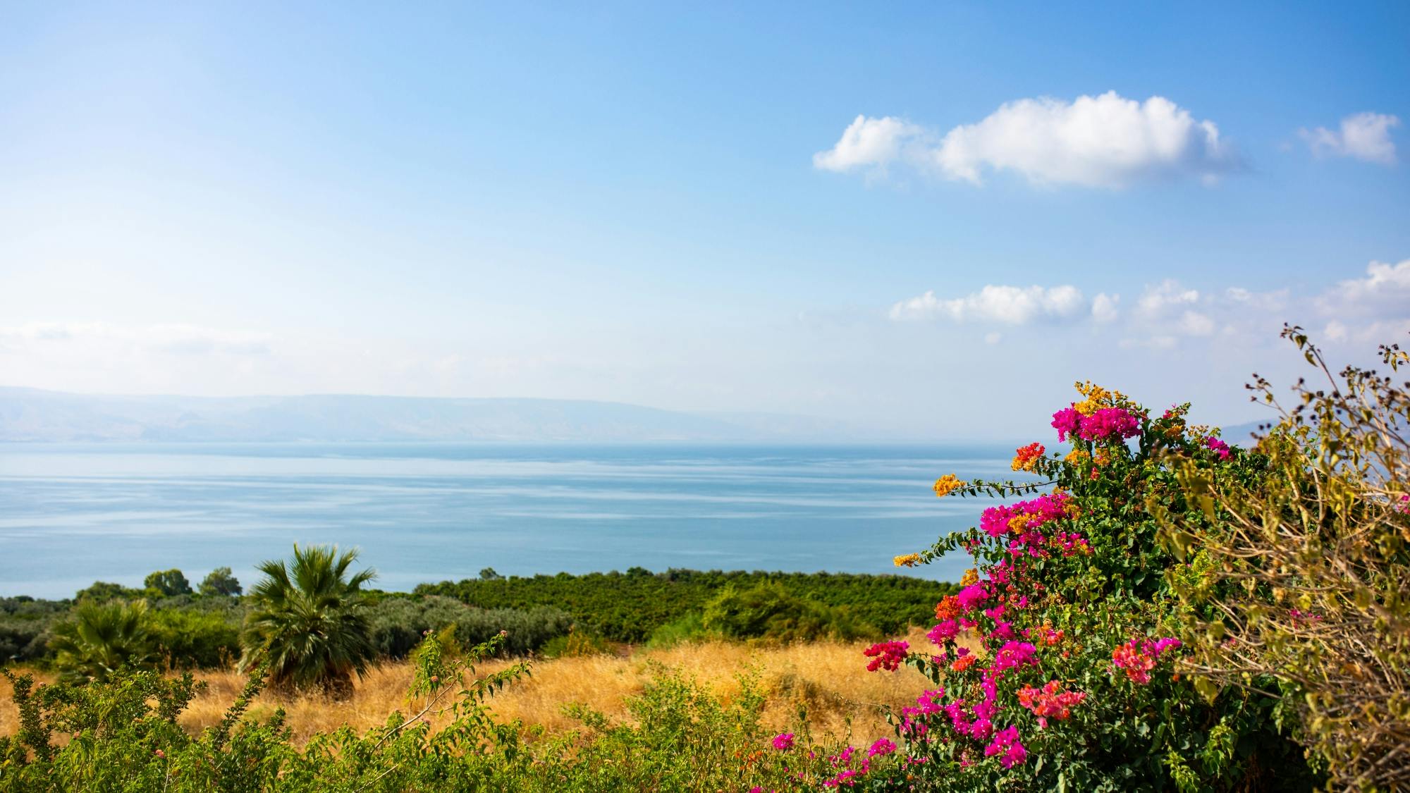 Sea of Galilee & Golan Heights Tour from Nazareth