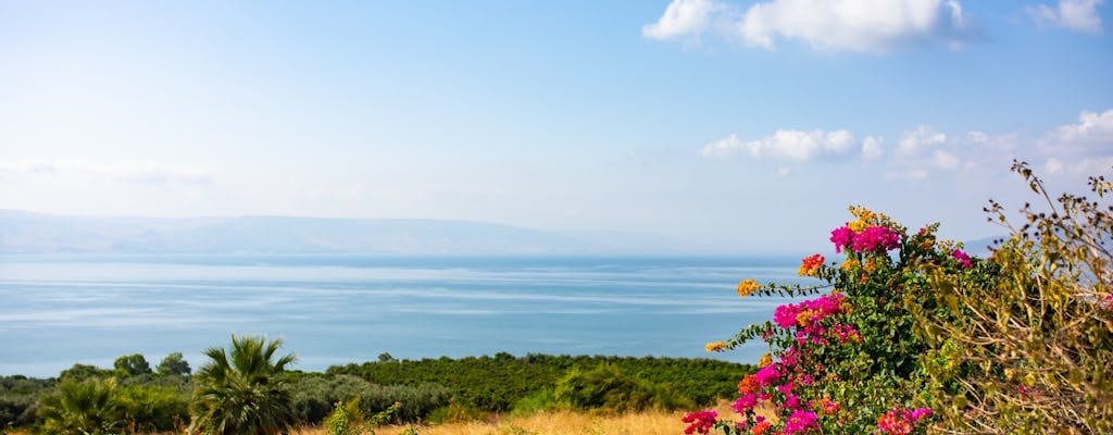 Wycieczka do Jeziora Galilejskiego i Wzgórz Golan z Nazaretu
