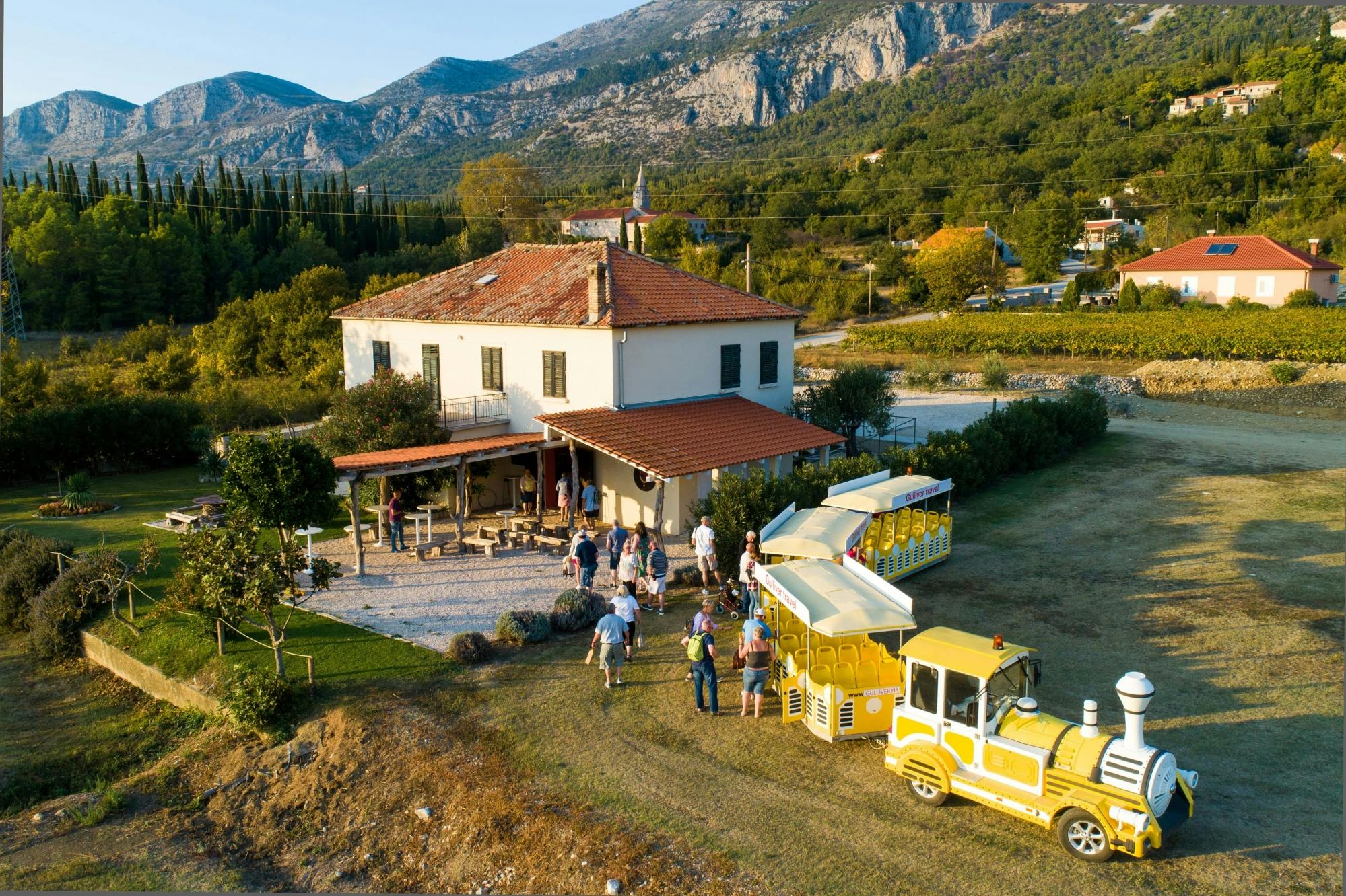 Konavle Valley Wine Tasting Tour with Scenic Train Ride