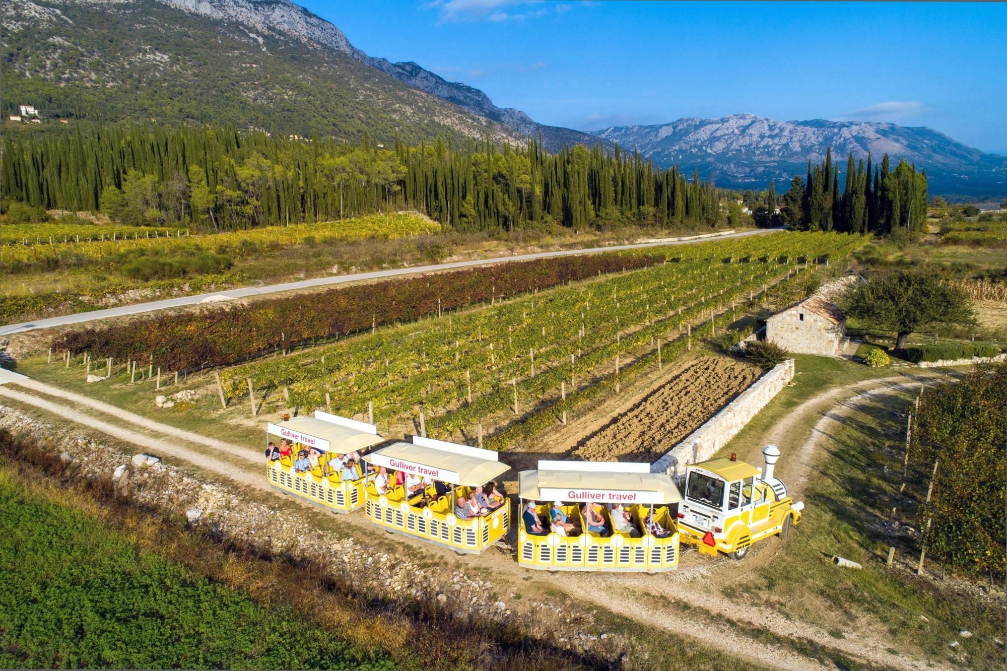 Konavle Valley Wine Tasting Tour with Scenic Train Ride