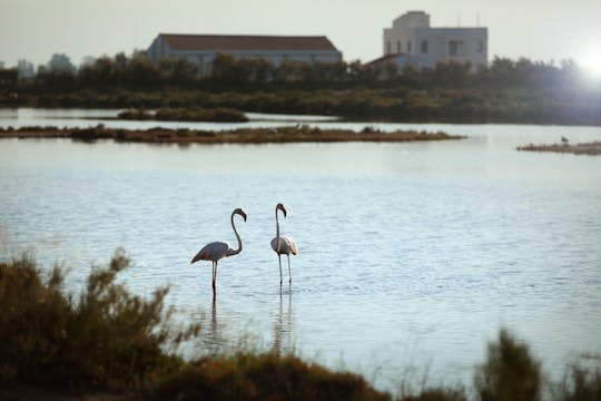 Billet d'entrée pour MónNatura Delta de l'Ebre