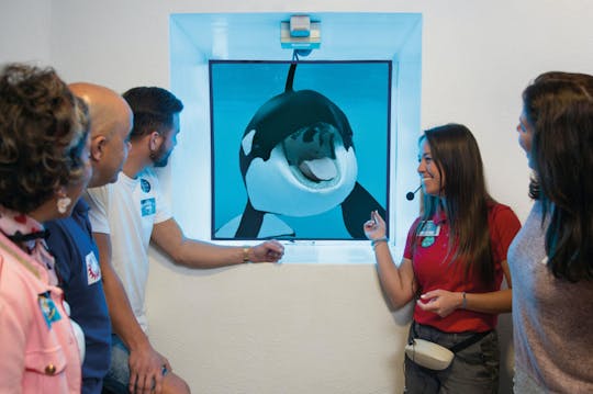 English guide discovery tour add on to Loro Parque entrance ticket