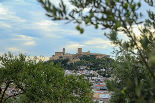 Ingresso para a Fortaleza de La Mota com guia de áudio