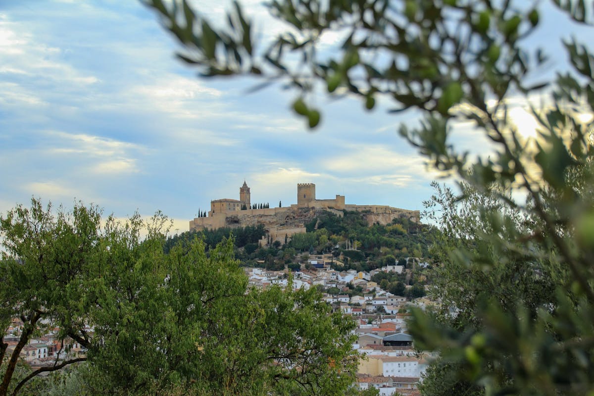 Biglietto d'ingresso alla Fortezza di La Mota con audioguida